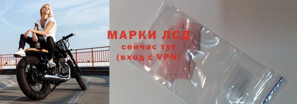 сатива Абаза