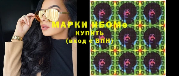 сатива Абаза